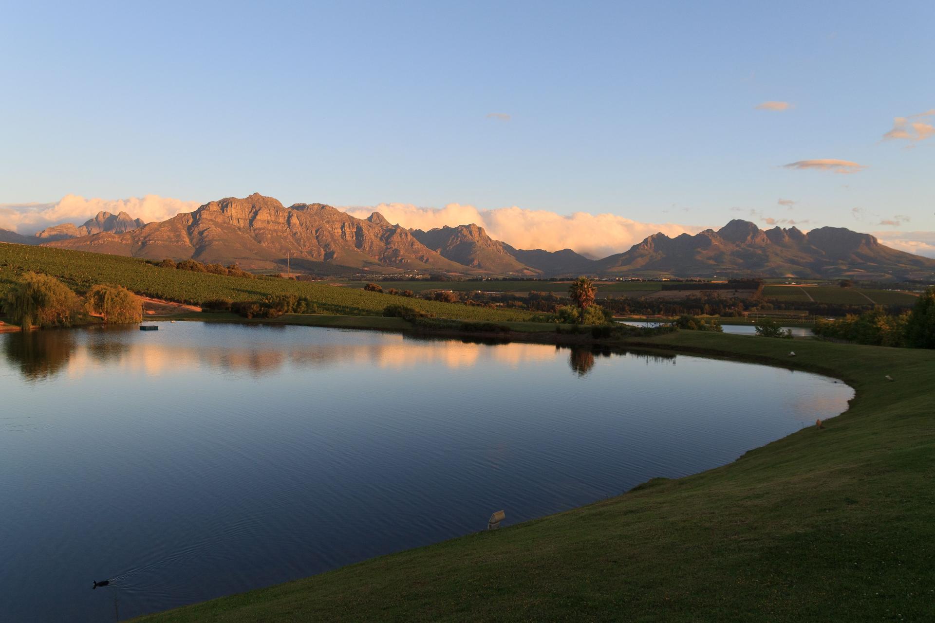 Stellenbosch vineyards area landscape, South Africa